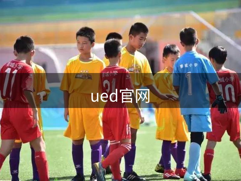 了解ued官网