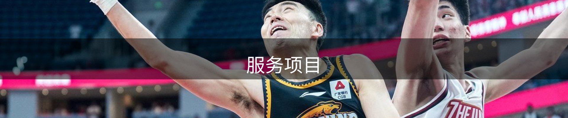 服务项目